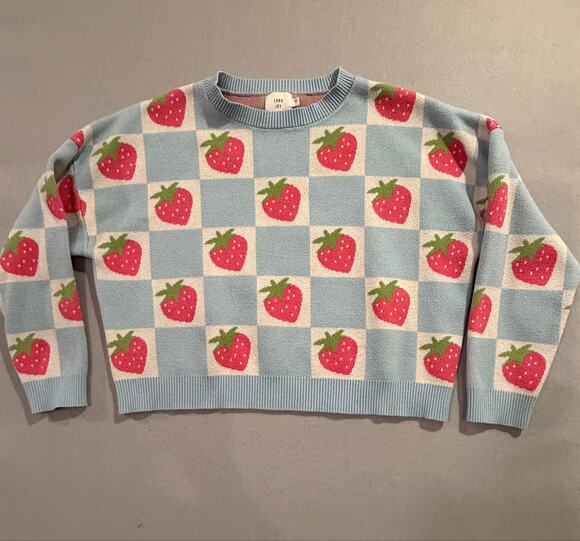 Luna ivy Sweaters - Luna Ivy Strawberry Checkerboard Sweater Blue Pink Knit Crewneck Women’s L